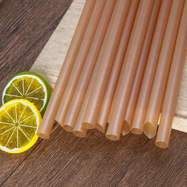 Biodegradable Natural Bagsasse Sugar Cane Straws - Image 2