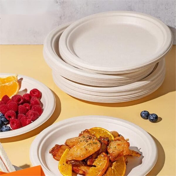 Degradable Plate - Image 3